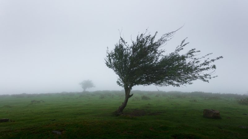 Wissenschaft auf die Barrikaden; Siggen